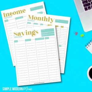 Happy Planner Budget Printable